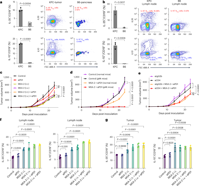 Dual targeting of PI3Kγ and STING overcomes regulatory B cell- and myeloid cell-driven immune suppression in pancreatic cancer