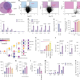 Targeting cysteinyl leukotriene receptor 1 reprograms tumor-promoting myelopoiesis and overcomes immune checkpoint therapy resistance