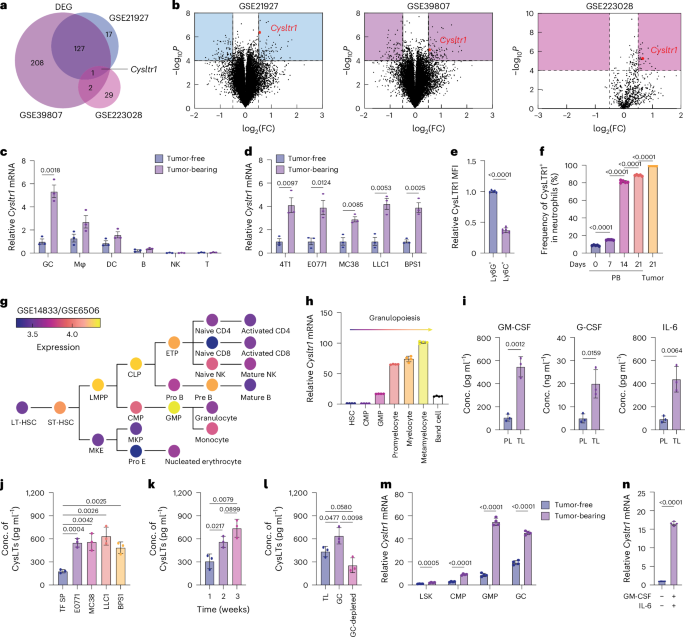 Targeting cysteinyl leukotriene receptor 1 reprograms tumor-promoting myelopoiesis and overcomes immune checkpoint therapy resistance
