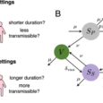 Epidemiological impacts of nonpharmaceutical interventions are modulated by immunity exposure trade offs