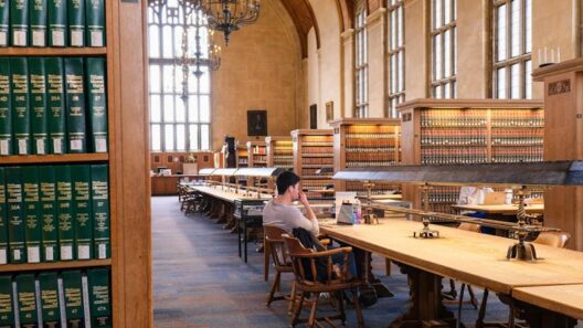 Cornell Offers Academic and Wellness Resources to Students During Finals Week