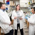 Blood stem cells evade immunity in aplastic anemia by similar genetic mutations arising independently