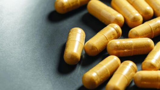 An ancient popular supplement