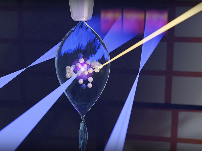 New method reveals hidden changes in vitamin B12