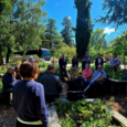 California College of Ayurveda showcased as a key economic and wellness hub on Nevada County Tour