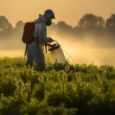 Iowa watches Senate action on pesticide immunity shield