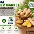 Global Ginger Market Forecast 2026–2034: Natural Wellness Trends and Functional Foods Fuel Industry Growth
