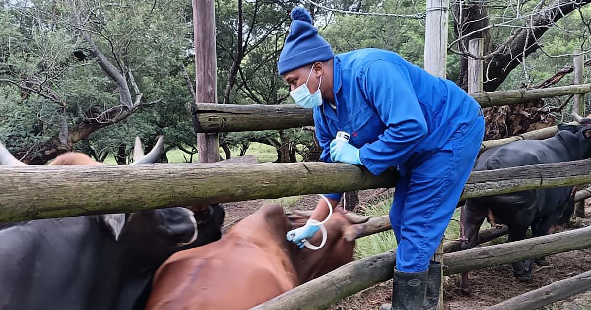 Farmers warn red tape cut ‘still not a fix for FMD’