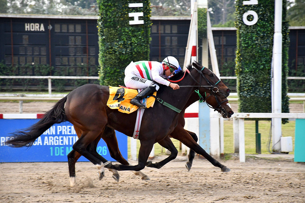 Herd Immunity pulled off the upset against Martana in the Gran Premio Criadores, showing her grit from the jump