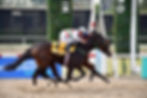 Along the rail, Herd Immunity held off Martana all the way to the wire / HAPSA