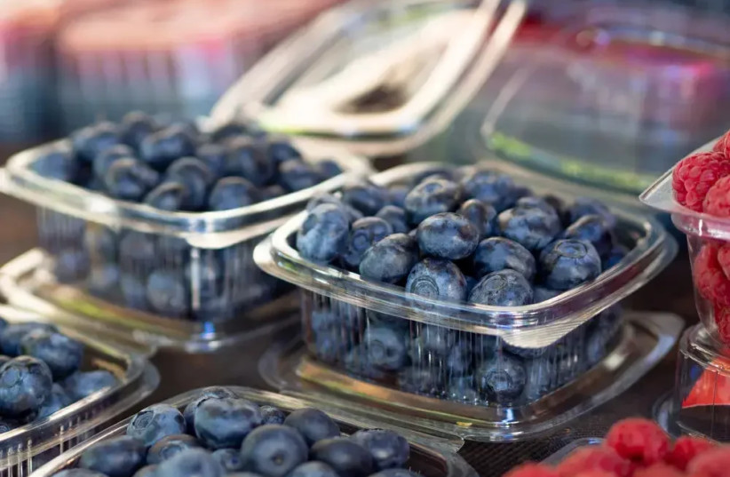 Blueberries
