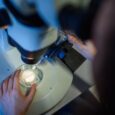Aging better isn’t just about adding more years. Tech to reduce chronic disease is just as important