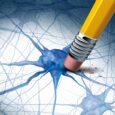 Scientists Identify Simple Supplement That Greatly Reduces Alzheimer’s Damage