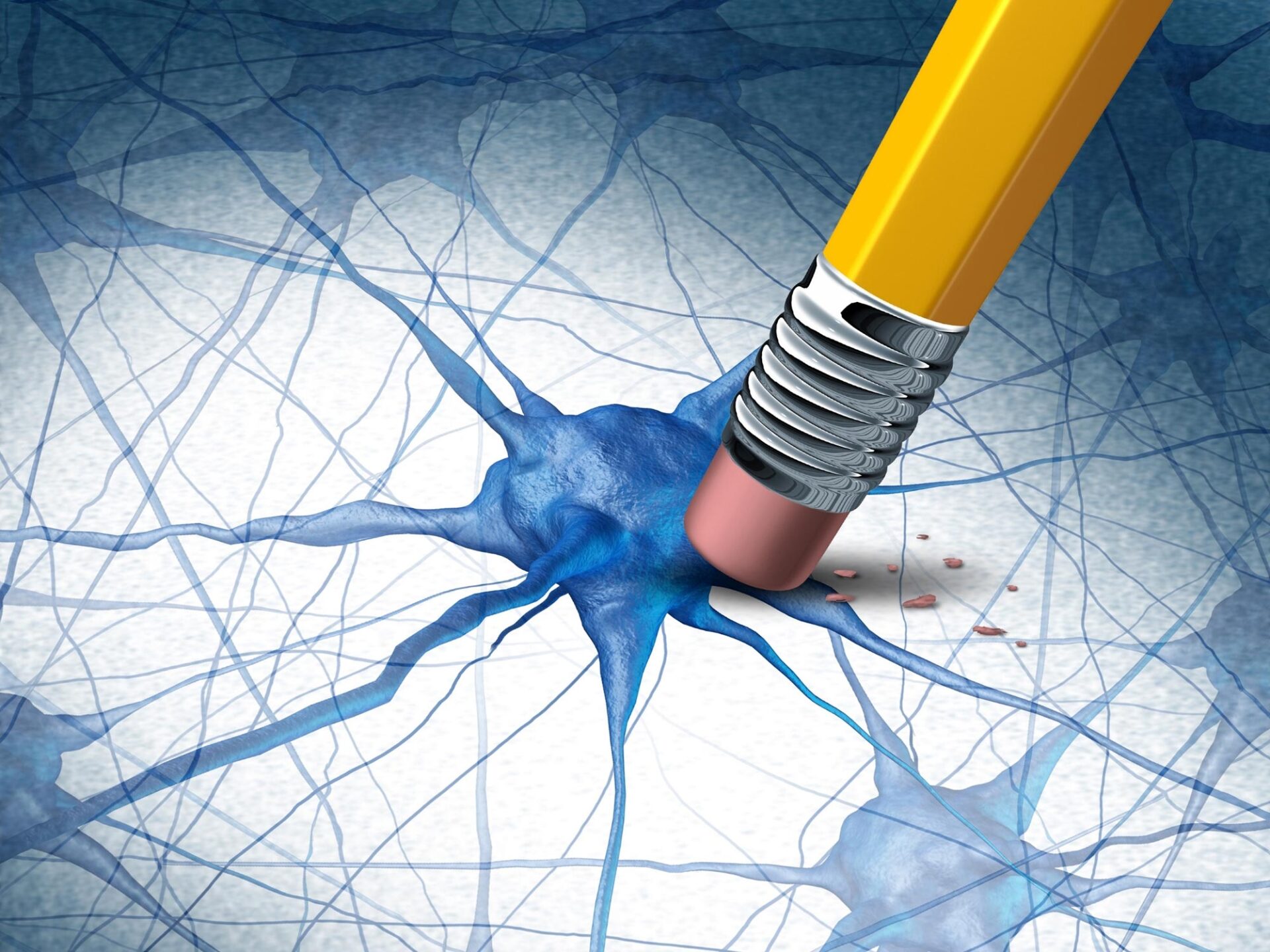 Scientists Identify Simple Supplement That Greatly Reduces Alzheimer’s Damage