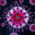 Amplifying Macrophage-Driven Immune Responses — Biology