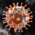 Author Correction: Lipopeptide Immunity Linked to Membrane Remodelling — Biology