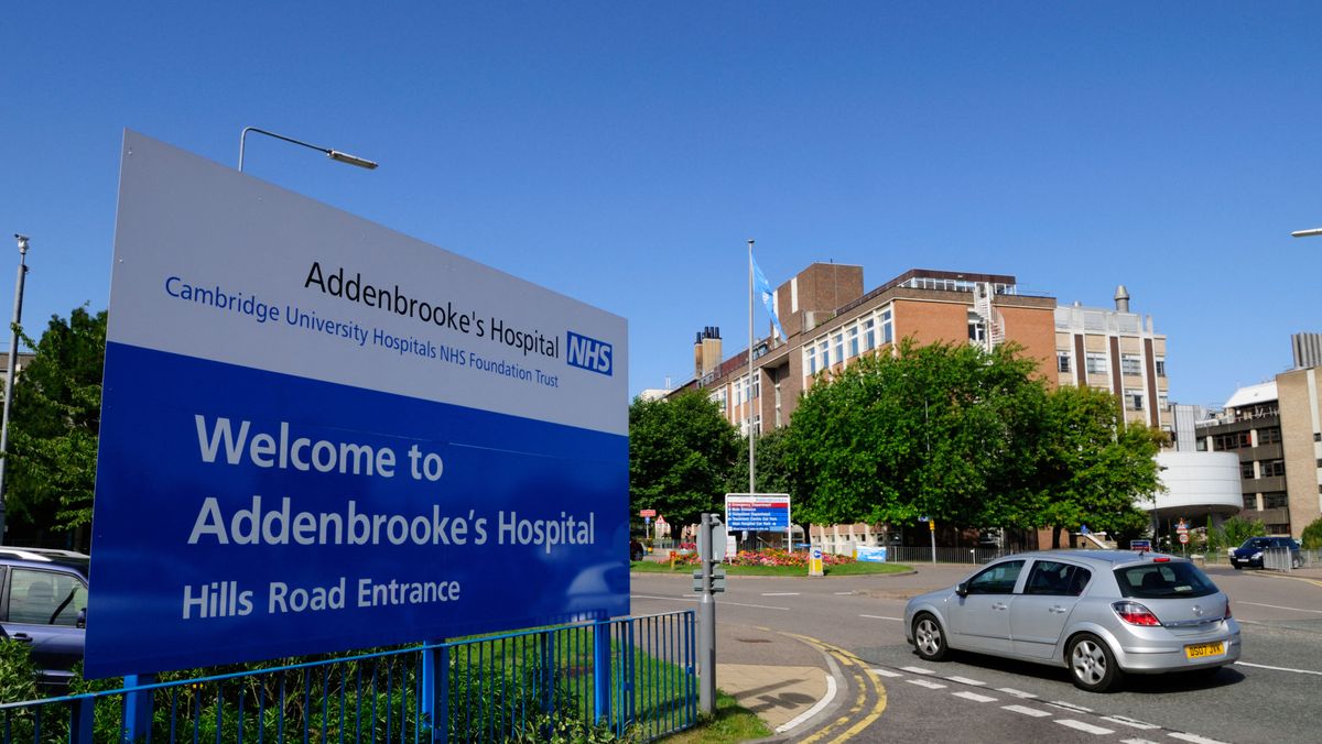 Coroner links student's death to Vitamin B12 deficiency from vegan diet