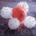 Scientists Have Found a Way To Feed Immune Cells Without Fueling Cancer