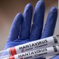 Hantavirus RNA can stay in semen for years, may offer lifelong immunity: What study reveals