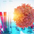 KLRG1 is immune checkpoint in several solid tumor models
