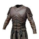 Armor Image