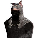 Armor Image
