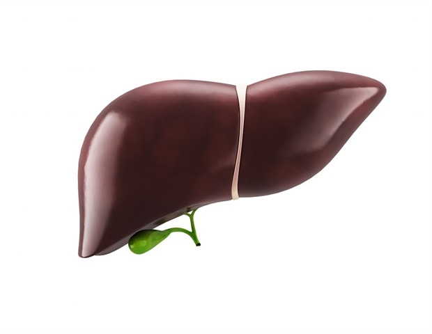 Immune cell discovery reveals new pathway for hepatitis B treatment