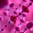 Genetic Mutations Enable Blood Stem Cells to Escape Immunity in Aplastic