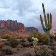 Best Wellness Retreats USA Has to Offer for 2026, Explained