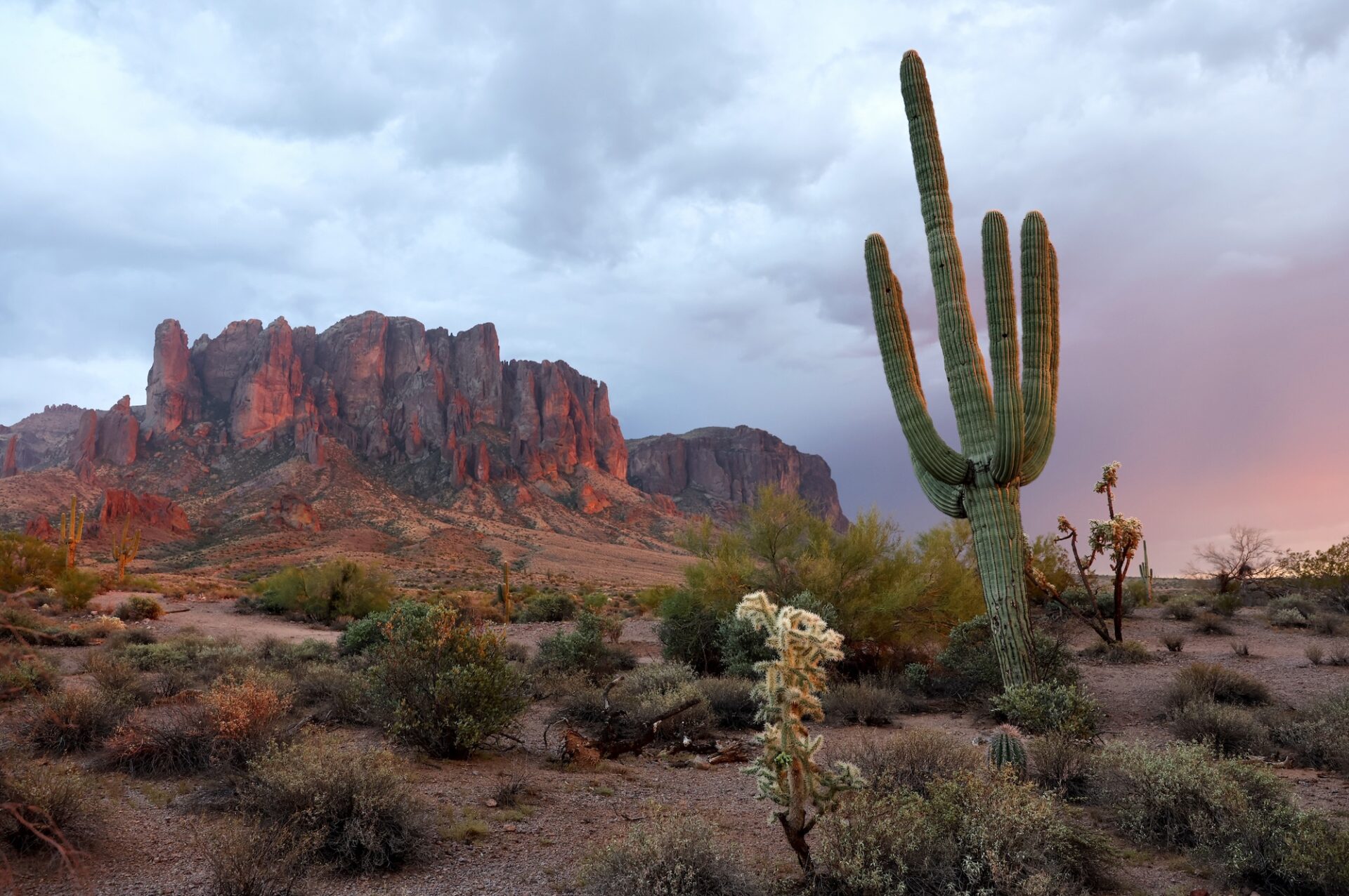 Best Wellness Retreats USA Has to Offer for 2026, Explained