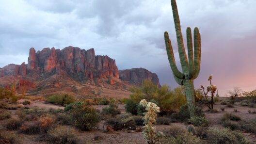 Best Wellness Retreats USA Has to Offer for 2026, Explained