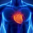 Scientists Say This Simple Supplement May Actually Reverse Heart Disease