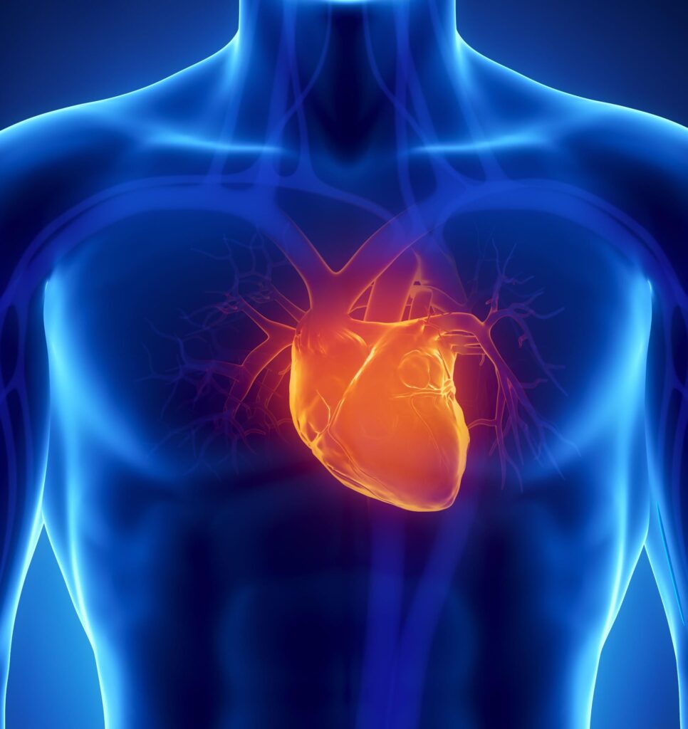 Scientists Say This Simple Supplement May Actually Reverse Heart Disease