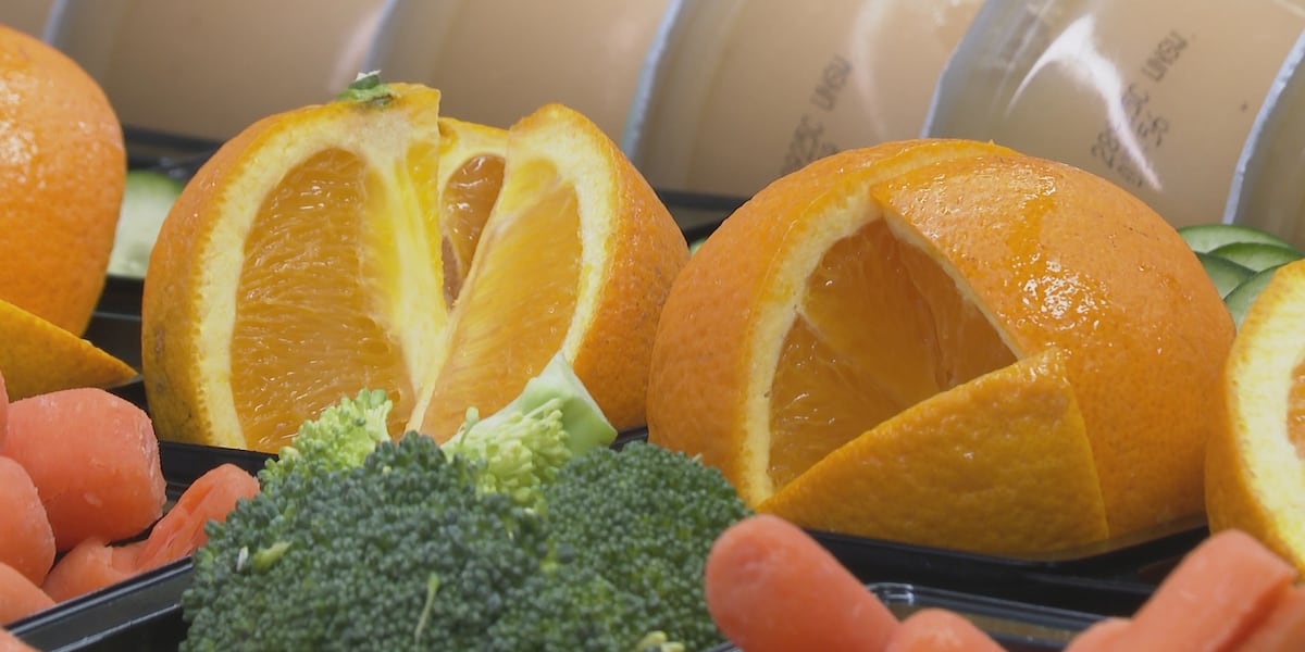 Beaufort County School District launches free summer meal kit program for children