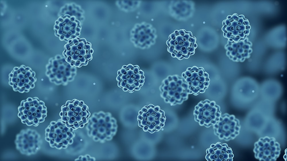 Cornell study finds dead bacteria may shape how immune systems fight infection