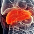 A Common Vitamin Could Hold the Key to Treating Fatty Liver Disease