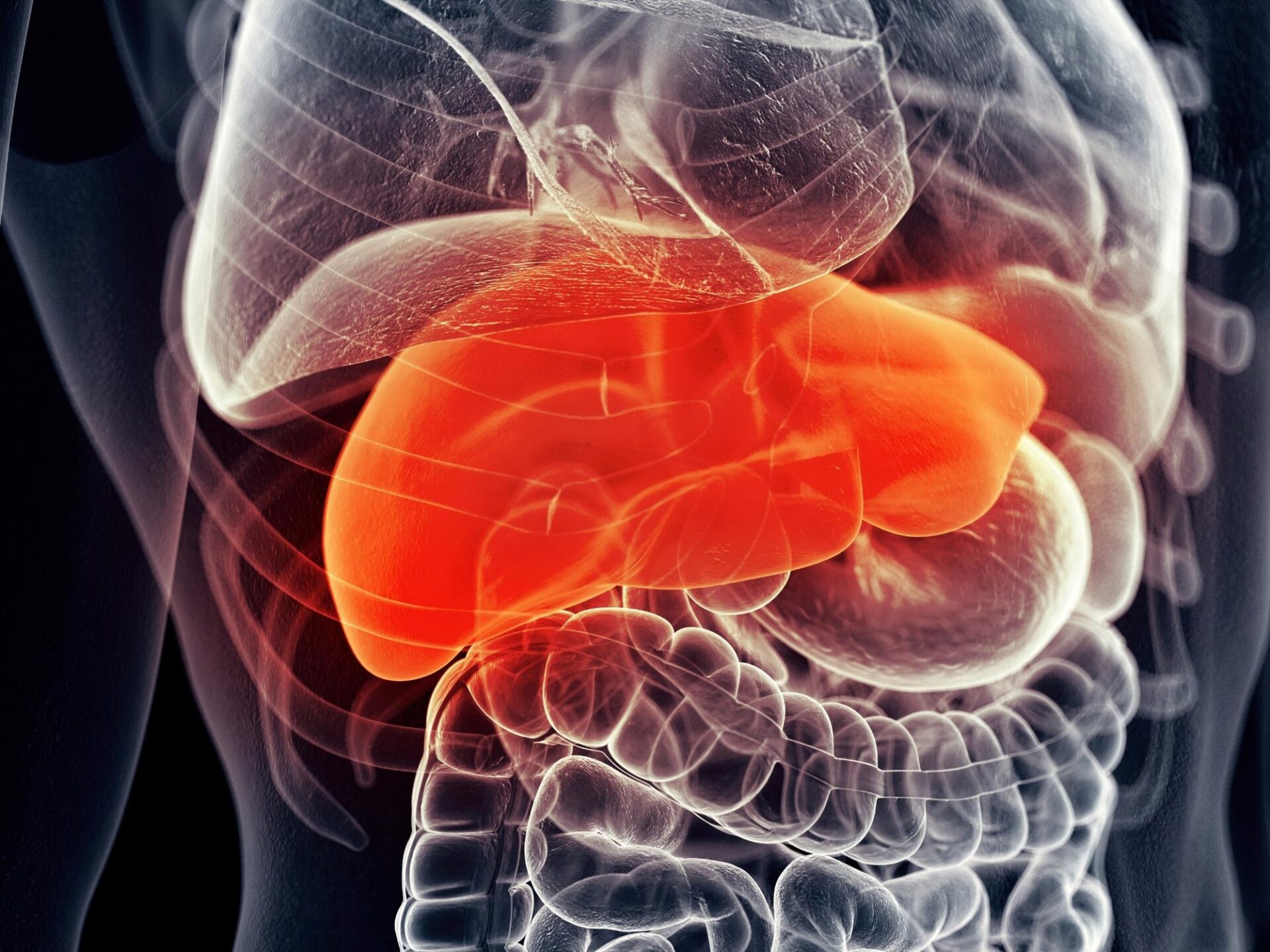 A Common Vitamin Could Hold the Key to Treating Fatty Liver Disease