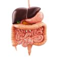 RNA modifications shape gut immunity and intestinal macrophage function