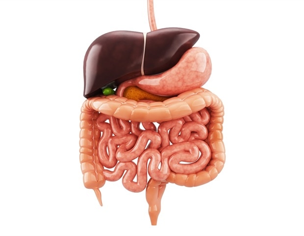 RNA modifications shape gut immunity and intestinal macrophage function