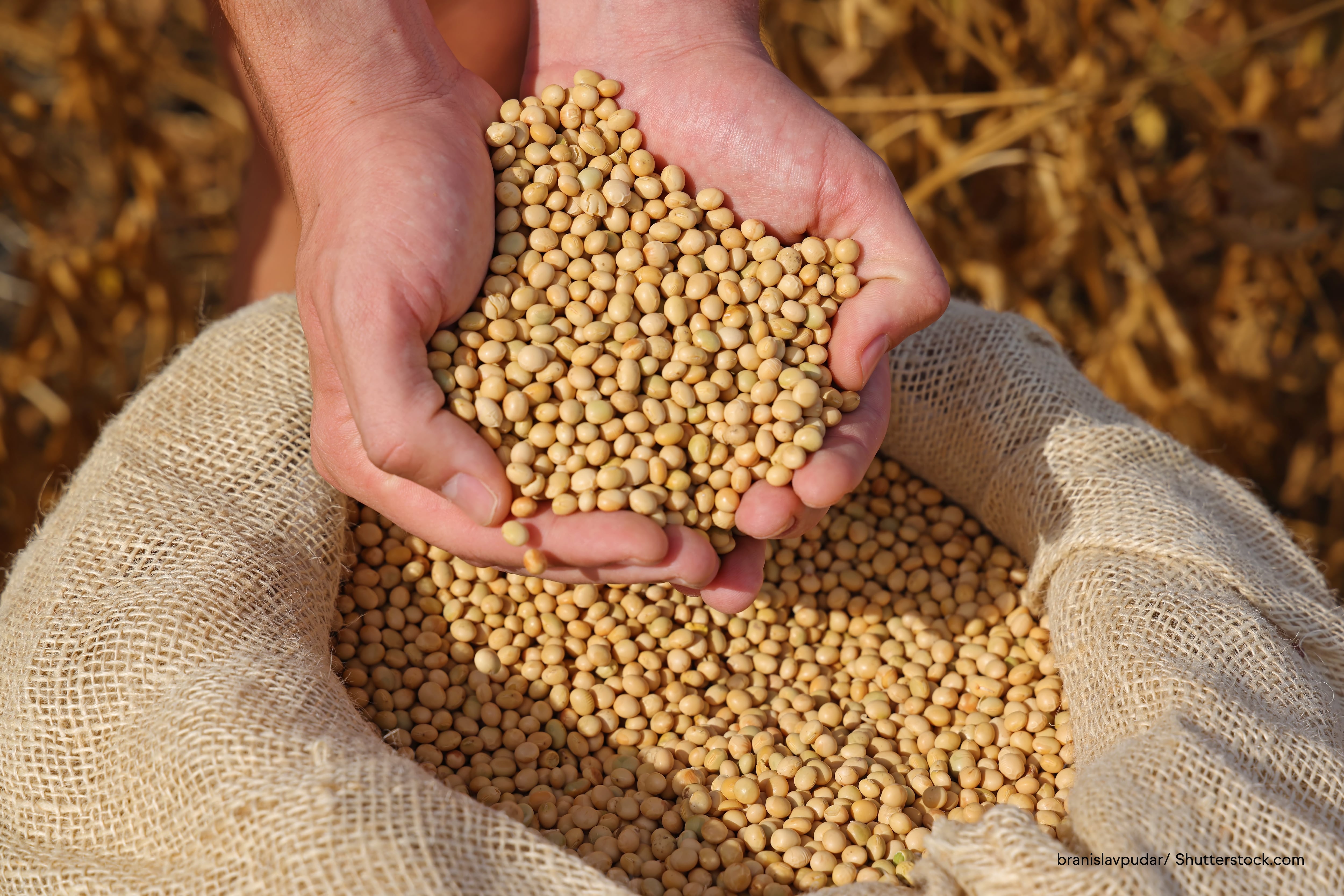 Soy protein heart health claim in ANZ