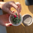 Sirio Pharma launches TGA-compliant gummy supplement concepts