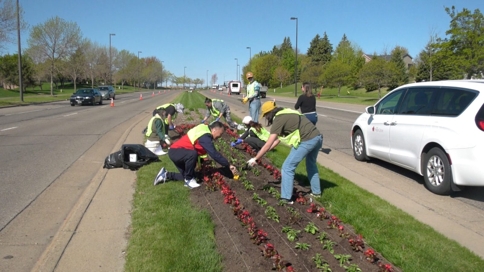 gardeners work on a median between two streets 