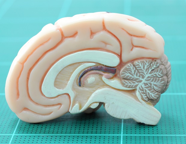 Sickness behavior may be a coordinated whole organism immune strategy