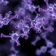 New Classification Framework Identifies Tumor-Associated Bacterial Effectors as Crucial Drivers of Tumor Biology and Immune Response — Biology