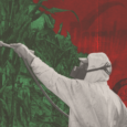 A person sprays pesticides on crops. but instead of a spray of chemicals, it's cash.