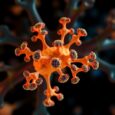 Platinum-Antibody Conjugates Enhance Tumor Recognition by the Immune System
