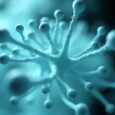 Polymyxin Resistance Evolution and Fitness Costs in Acinetobacter — Technology and Engineering