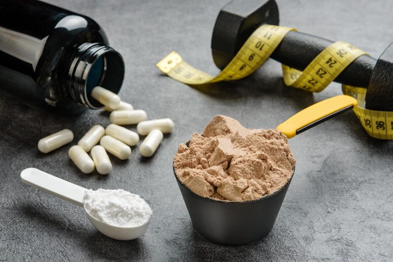 Protein Creatine Sports Nutrition Bodybuilding Supplements