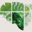Supplements ride the next wave of brain health – digital magazine