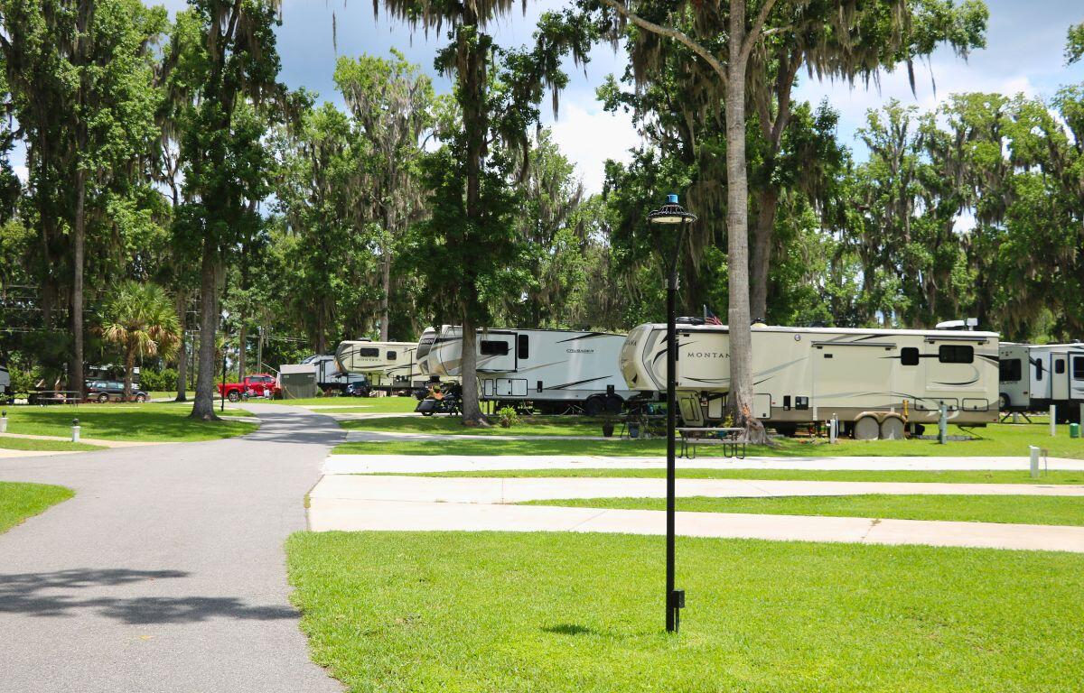 An RV park with multiple RVs parked under trees for shade.